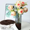 Rose champagne
