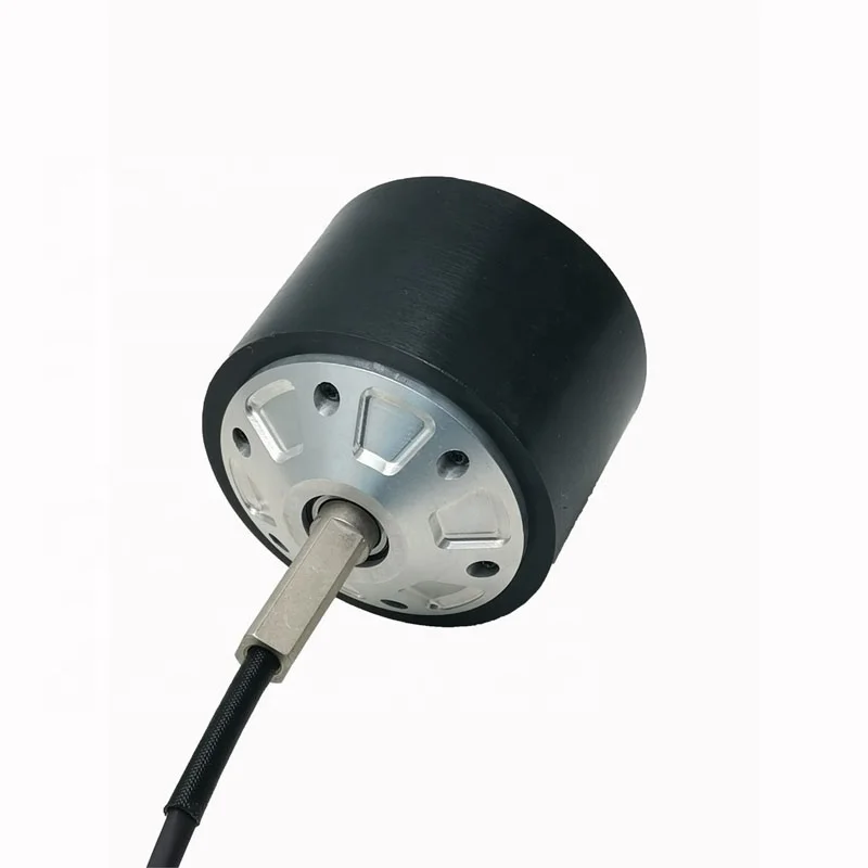 Waterproof and Shockproof 36V High Quality and Favorable Price Electric Wheel Hub Motor