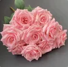 Rosa intenso