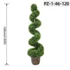 Vibrant Green Multi-Bubble Spiral Boxwood (120cm / 3.93ft)
