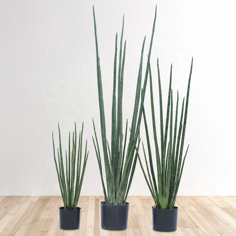 Worth Piante Artificiali Sansevieria 0,9 M - Confezione Da 2, Foglie Di Seta Realistiche Per Interni/Esterni, Senza Manutenzione, Con Vaso In PP E Cemento - 5