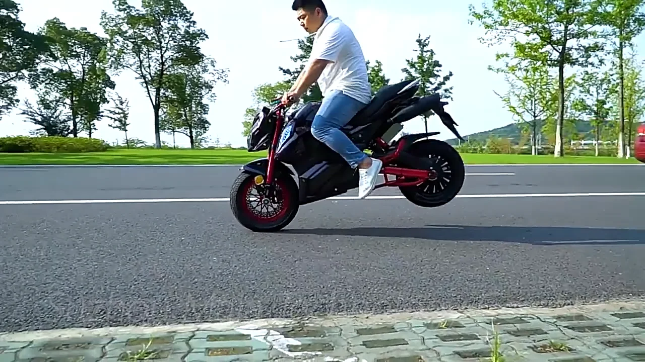 Hot Selling X260 Electric Motorcycles(old) Sur Ron X Edition Sports