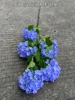 16# - 5 heads of European wood hydrangea - violet