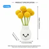 Plante en pot boule dorée-boutons Billy