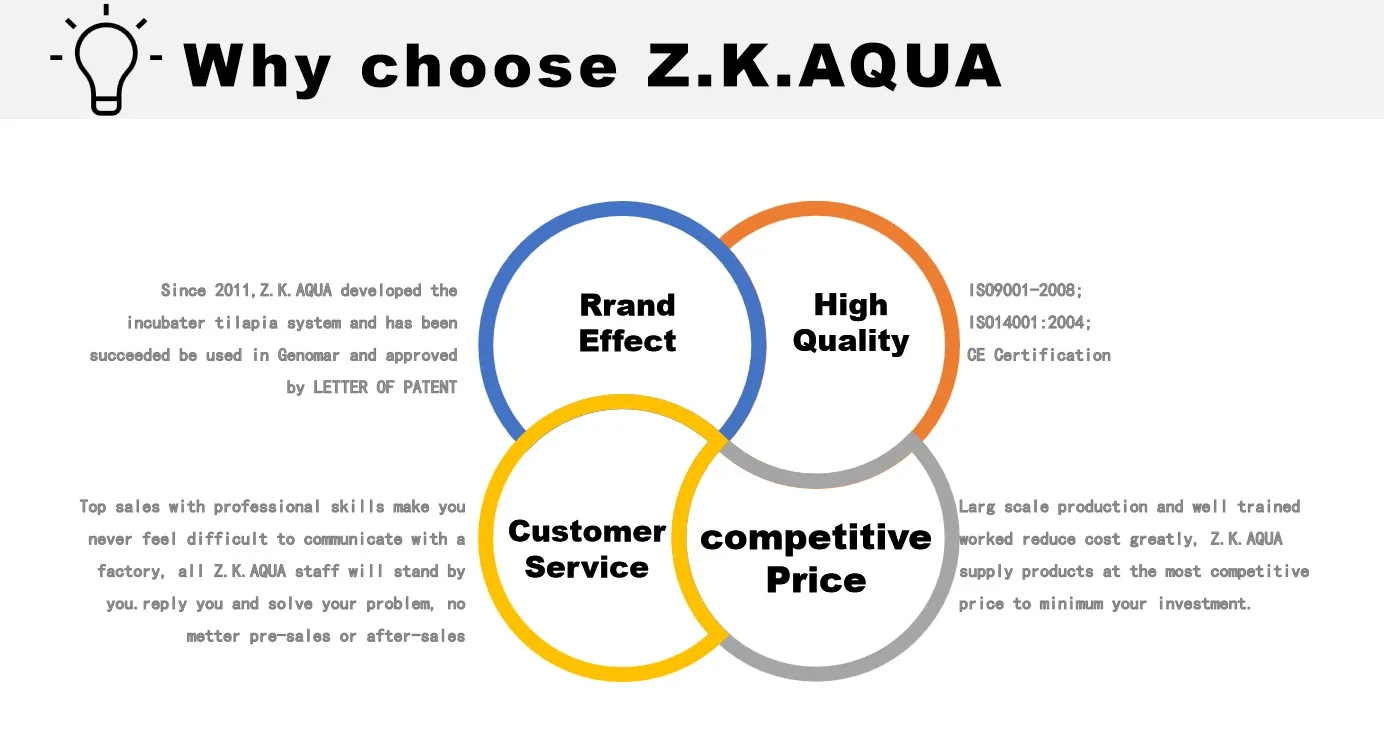 Fish Farming Ras System Aquaculture Equipment - Buy Fish Farm Equipment ...