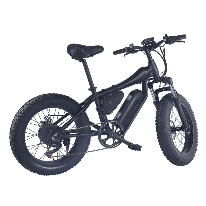 20 Inch Folding Electric Bike Custom 