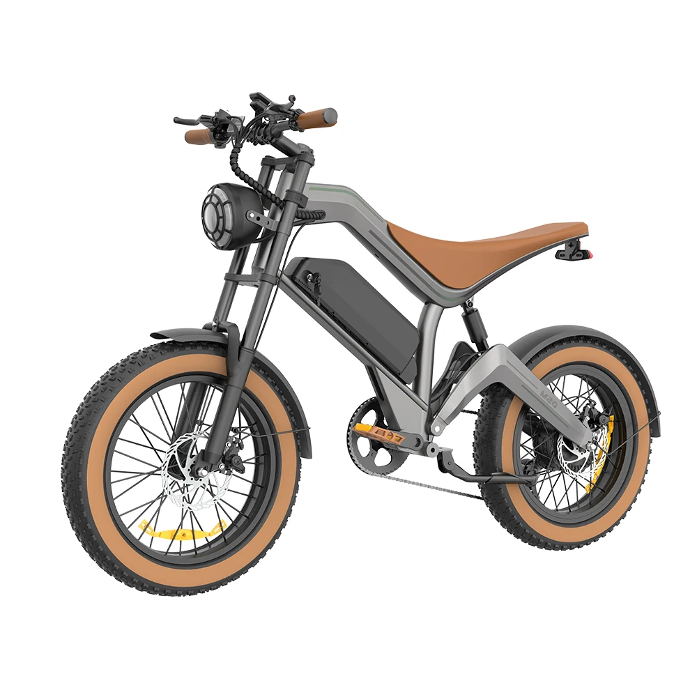 F-WHEEL M20 750W full suspension fat tire electric bike in side view