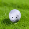 16 Ratón