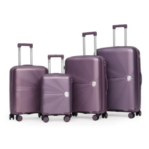 Carry-On Luggage Set Light Weight Luxury Modern PP Waterproof Eco-Friendly Zipper Soft Handle Lock Airport Holiday