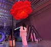 Rosa