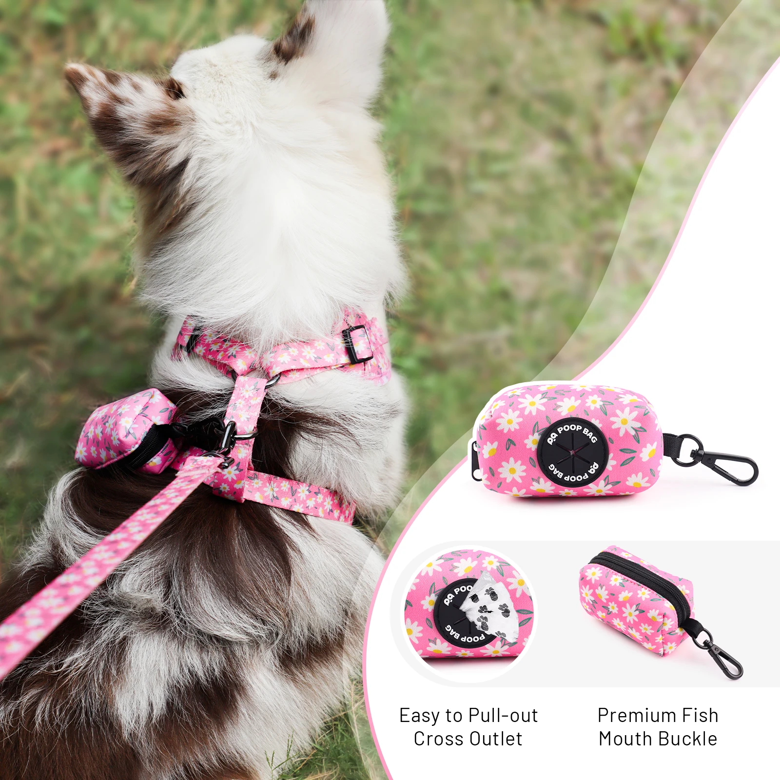 2025 Free Sample Pet Dog Leashes Custom Design Wholesale