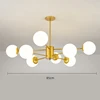 8 teste-oro
