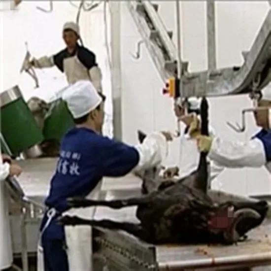 Goat slaughterhouse machine lamb equipment line sheep farm mutton slaughterhouse factory