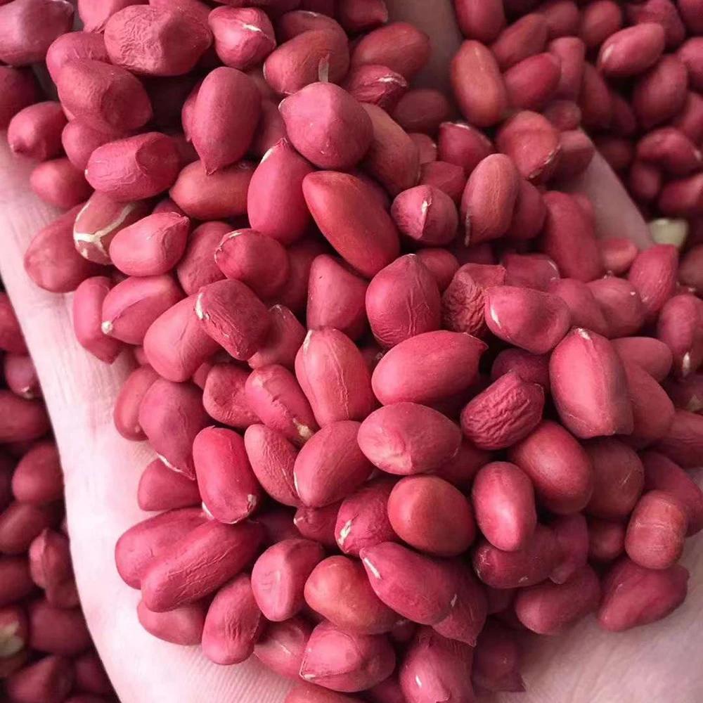 Peanuts 50 Kg Bulk Raw Peanuts Peanuts Price Peanut Seeds