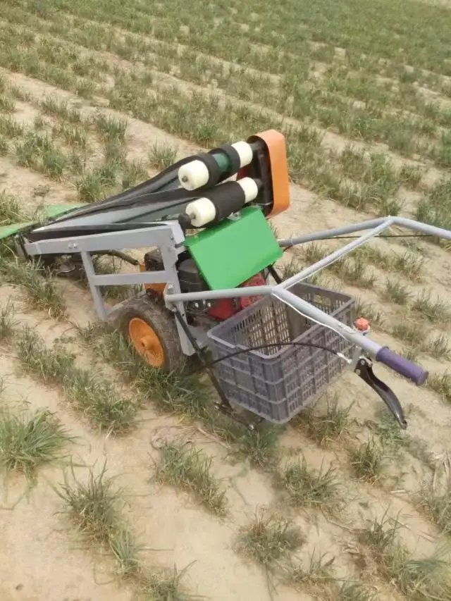 Chinese Cabbage Spinach Harvester Machine /Gasoline Engine Chives Basil Harvester / Harvesing Machine for Coriander on Hot Sale