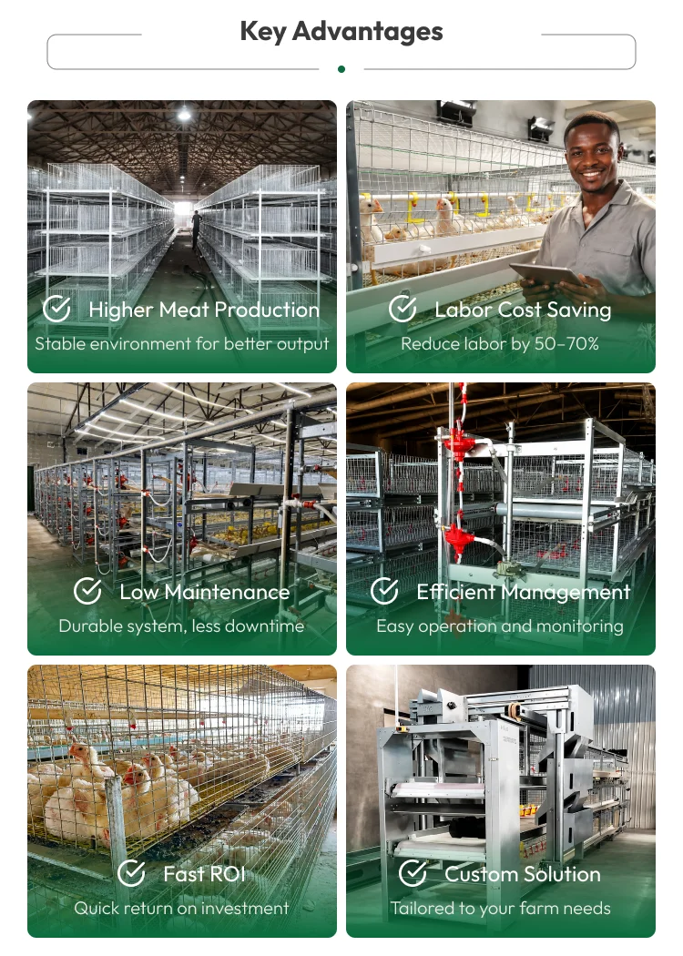 H-Frame Automatic Broiler Cage