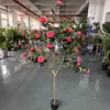 Red Camellia Tree