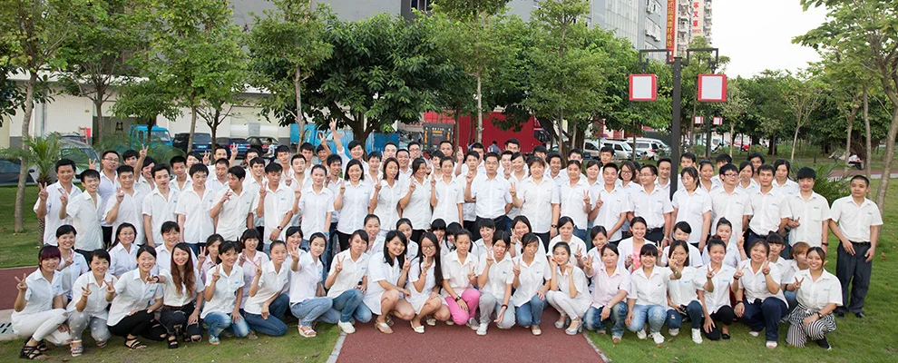 Shenzhen Lefeng Technology Company Limited 3