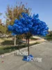 arbre à fleurs b