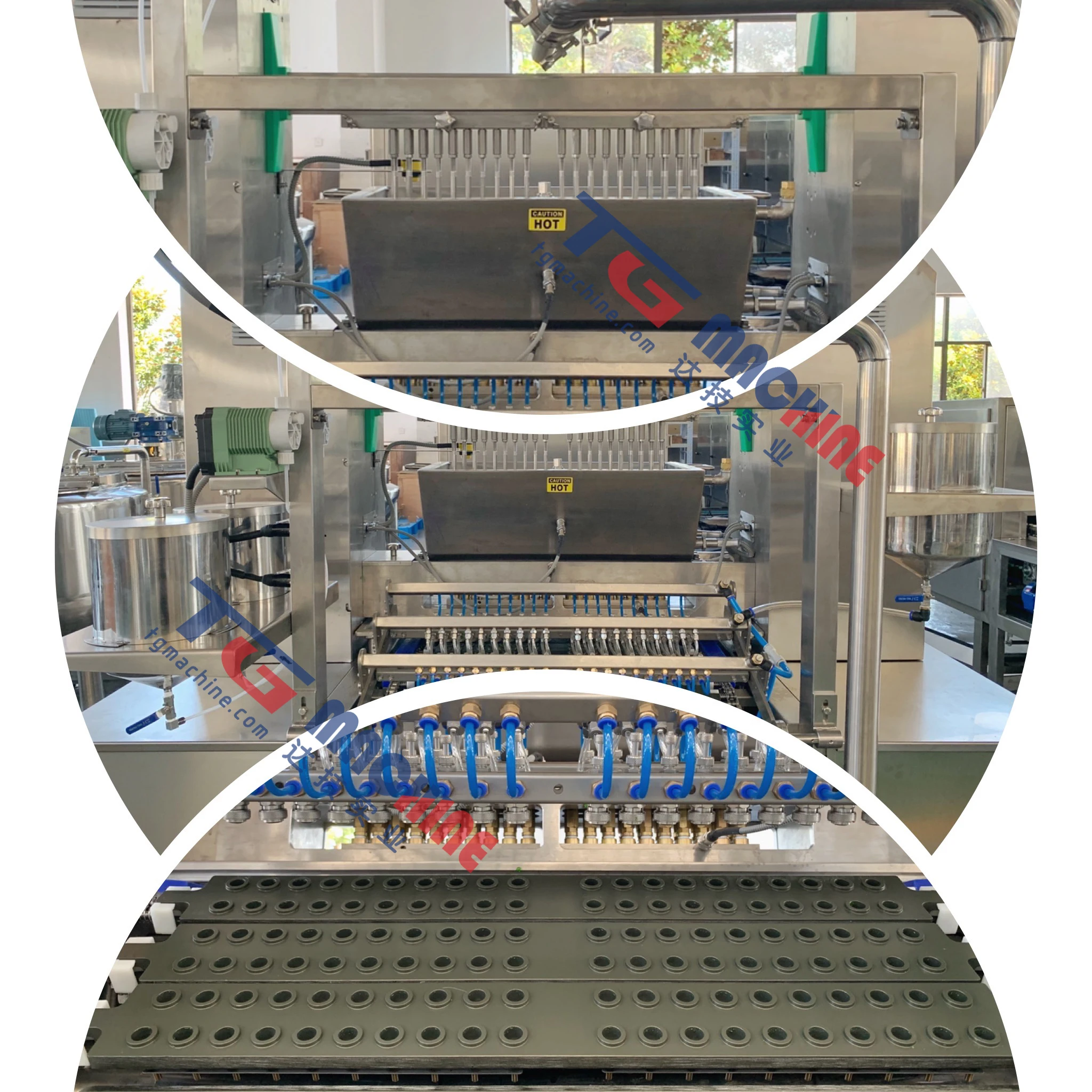 Tg Machine Full Automatic Machine Bonbon Gummi Bear Packaged Industrial Machinery and Equipment
