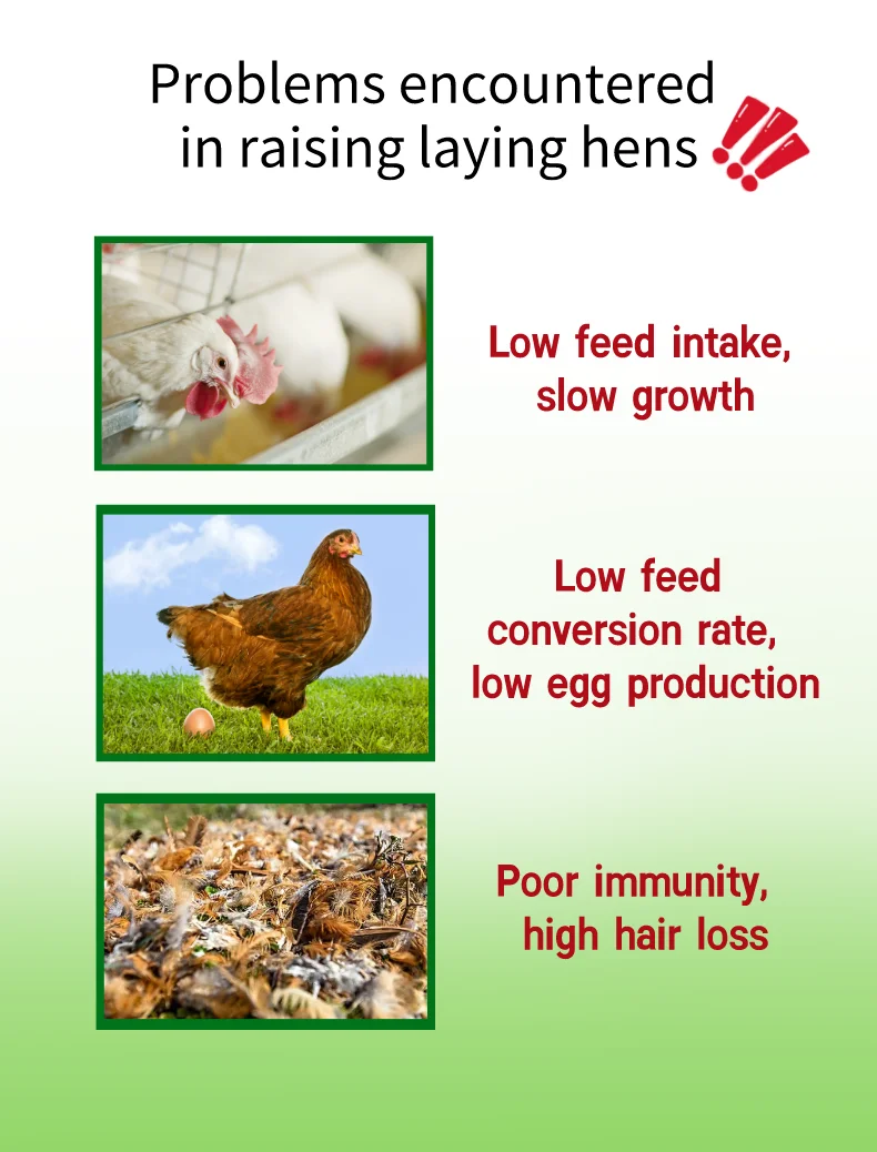 High Quality Low Price Supplier Direct Sales0.5 Layer Maturation