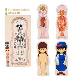 Crafts Funny Learning Multilayer Puzzle and Play Set Boys Girls Body Structure Human Body Puzzle Matching Board for Children
