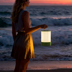 Rechargeable Modern Portable Metal Table Lamp with Touch Control Warm White LED Light for Home Decor Gift Lamp