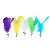 Colorful 4