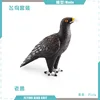 colorato PL127-2300 Aquila 23g