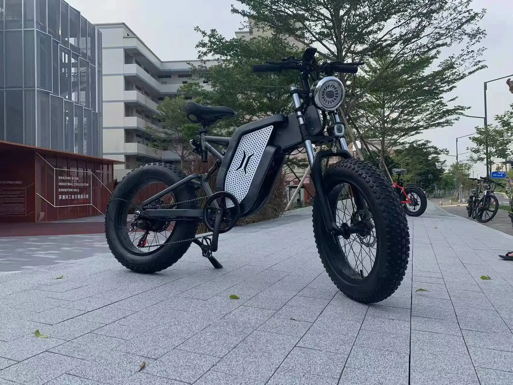 h 30ah fat tire electric bicycle 750w  electric bike for adult with ce fcc rohs eu and us warehouse-93