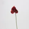 Petite Palmier d'amour (rouge foncé)
