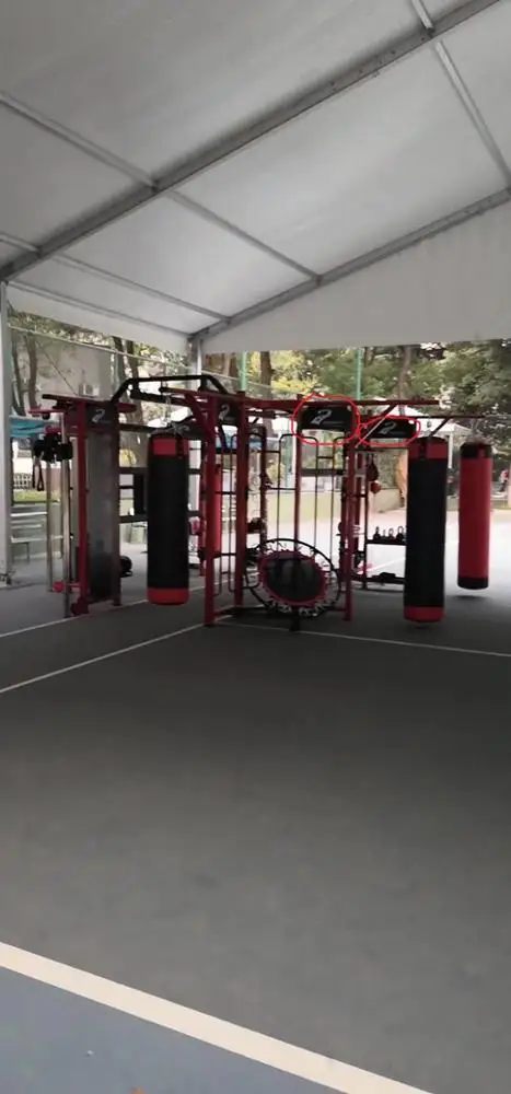 Synergy 360 Degree Multi Functional Trainer Commercial Gym Equipment for Sale