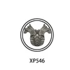XP546