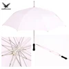 Umbrella 5
