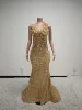 TH25021895-oro