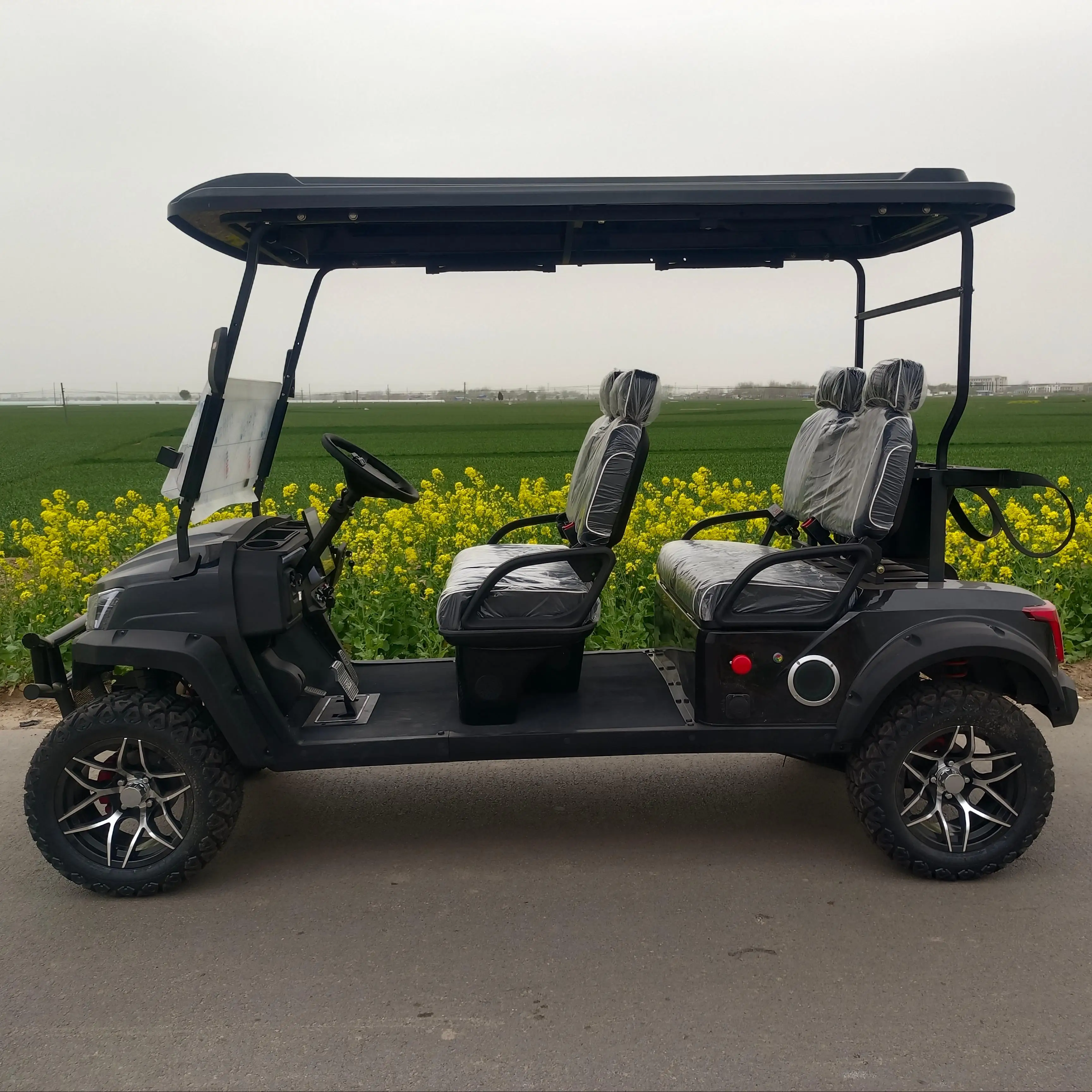 ZXK6 Electric Golf Cart - 72V Led Club Golf Car Factory Sale