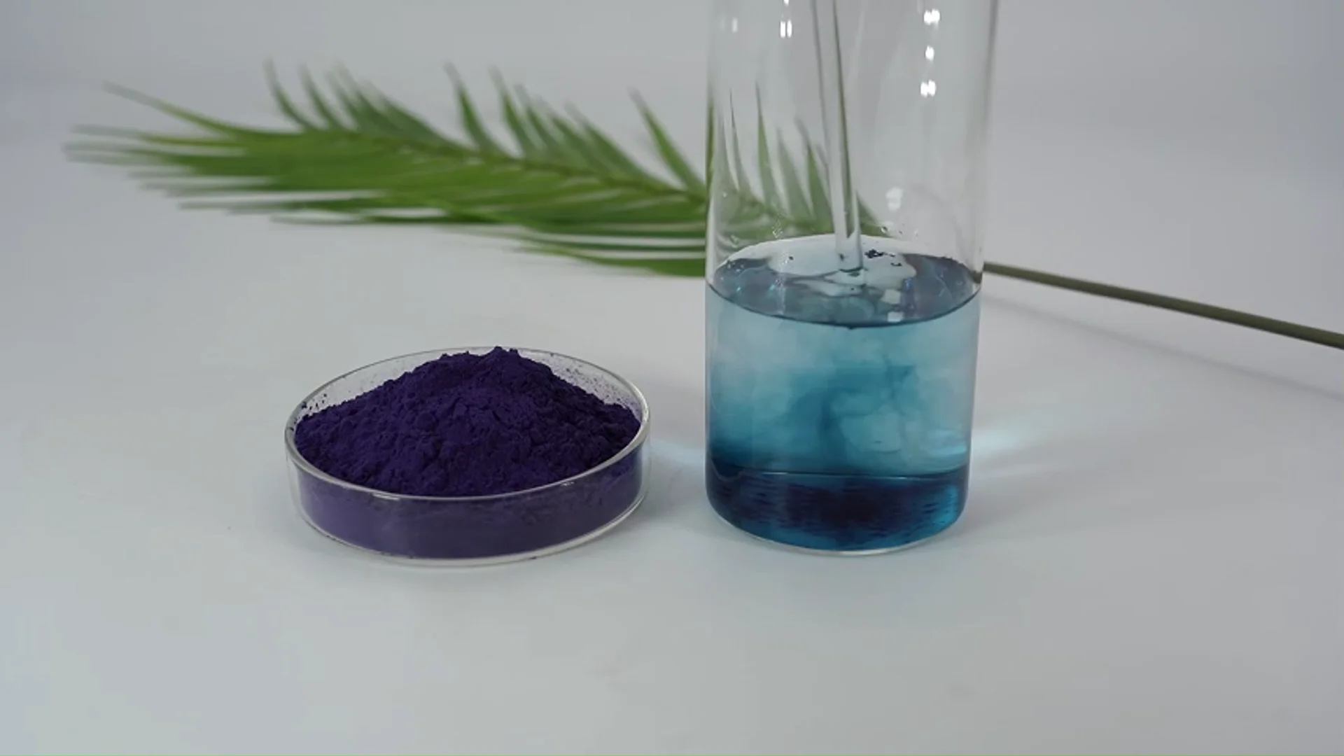 Bulk Blue Food Dyes Natural Colouring Butterfly Pea Flower Powder - Buy ...