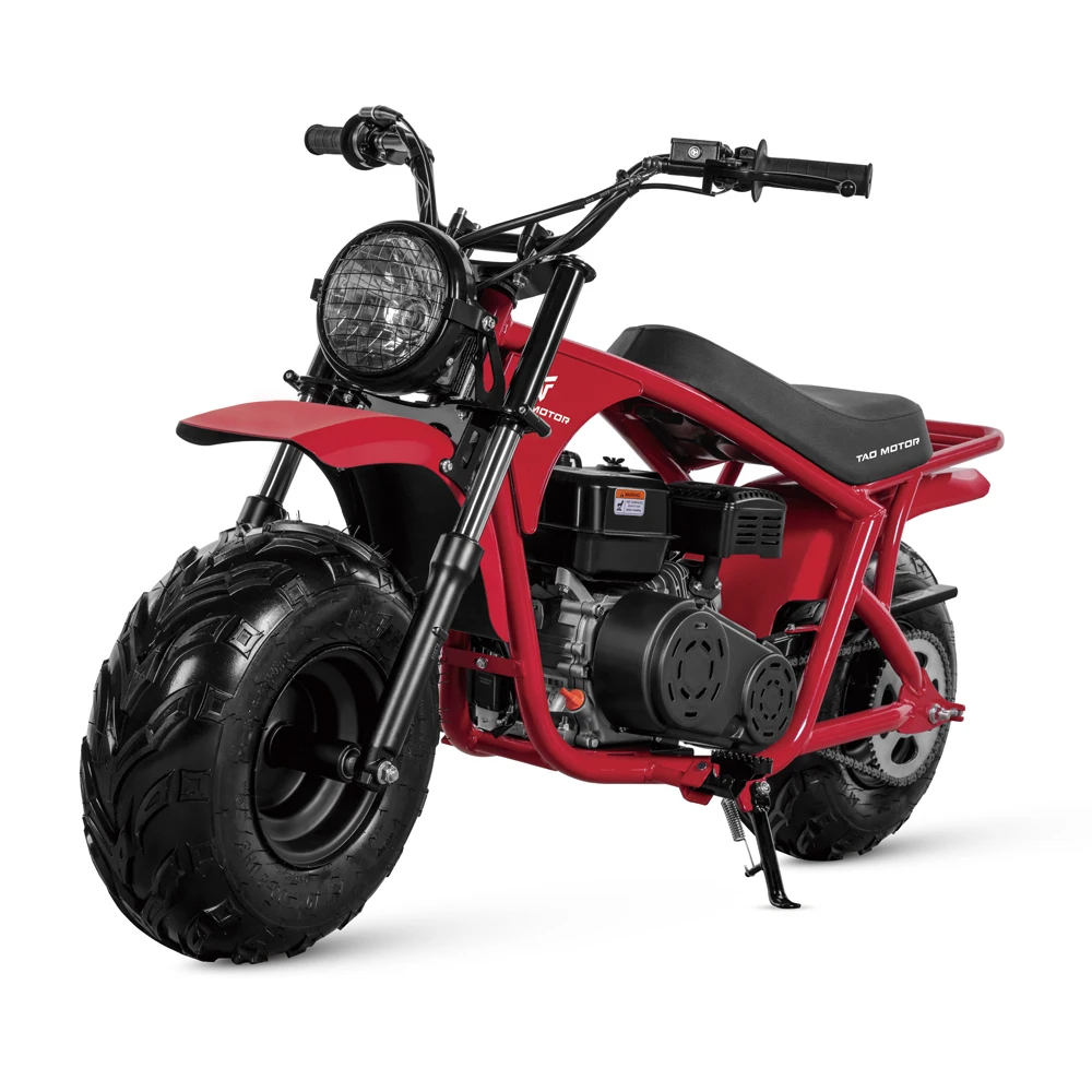 Tao Motor 2023 New Design Kids Petrol Mini Dirt Bike Mini Bike 200cc ...