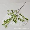 Ramas cortas, ondas en capas: bordes blancos.