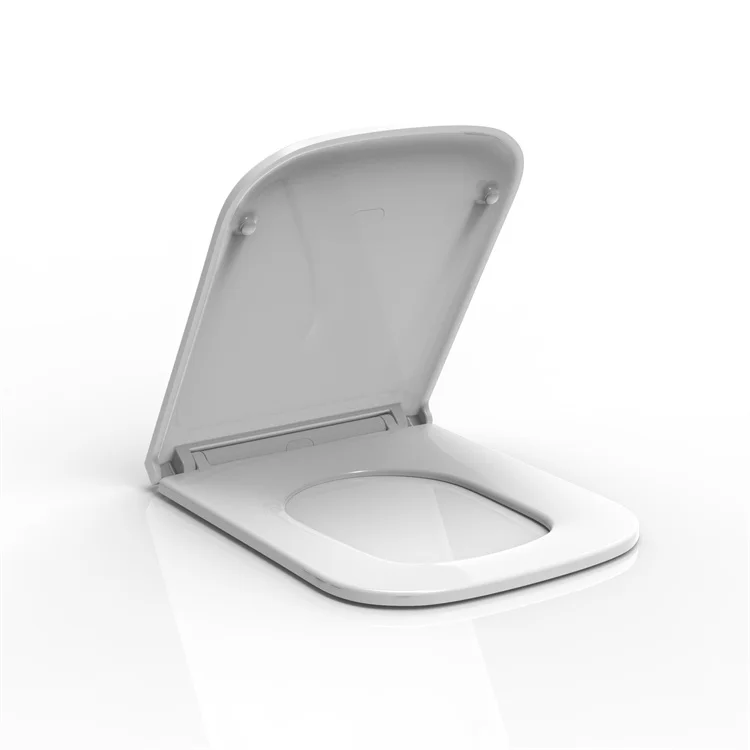 back to wall wc concealed cistern