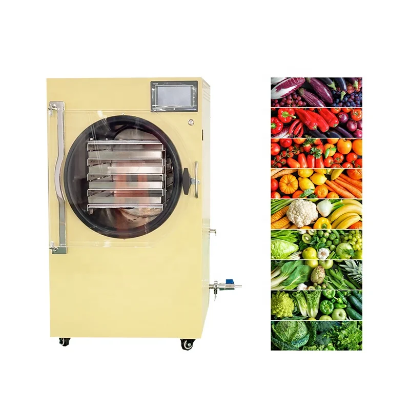Home Use Food Candy Continuous Freeze Dryer Machine Food Drying Machine Portable Machine Food Vacuum Freeze Dryer