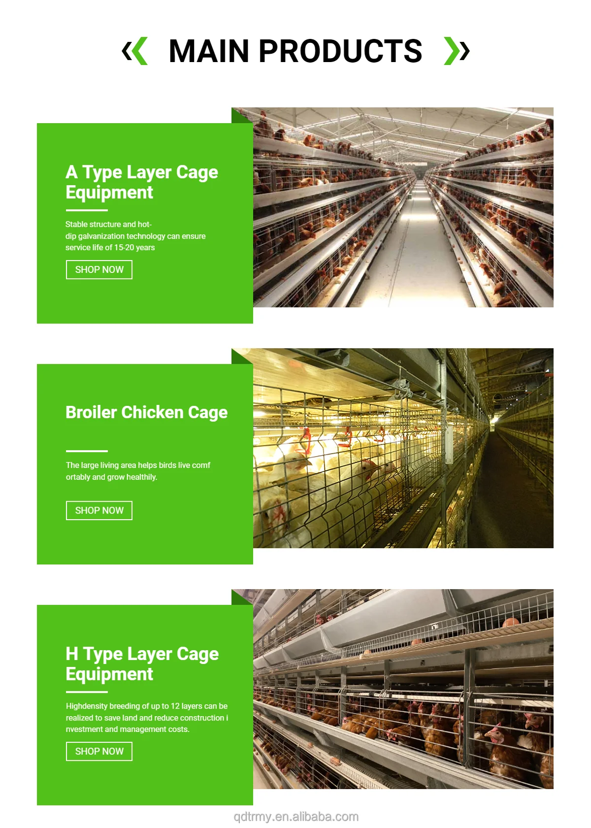 Automatic Poultry Layer Cage Galvanized Battery Laying Hens Layer Egg