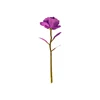 Purple (Macron)