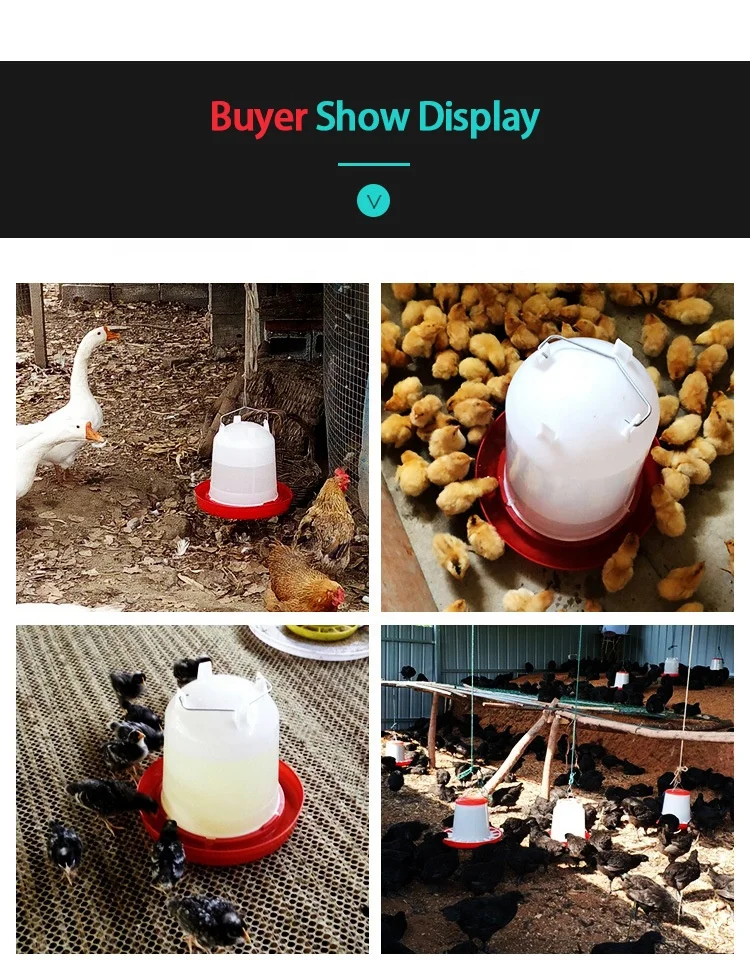 Пластиковая поилка для птицы