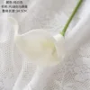 Pure white