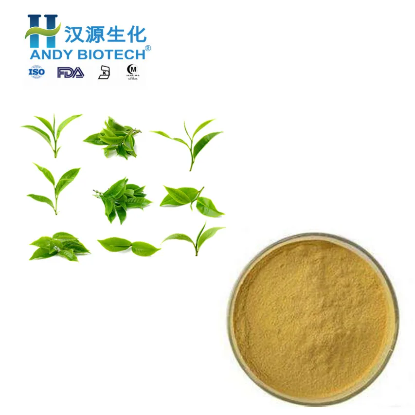 Green tea extract 4