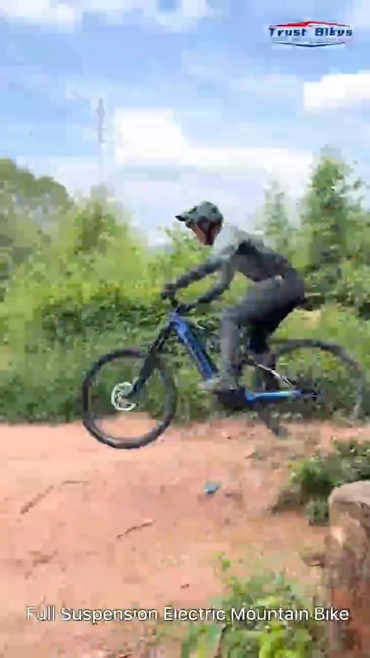 Trust Bikes Classic Full Suspension Electric Mountain Bike Frameset For