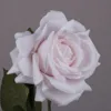 สีขาวพีช