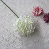 สีขาว