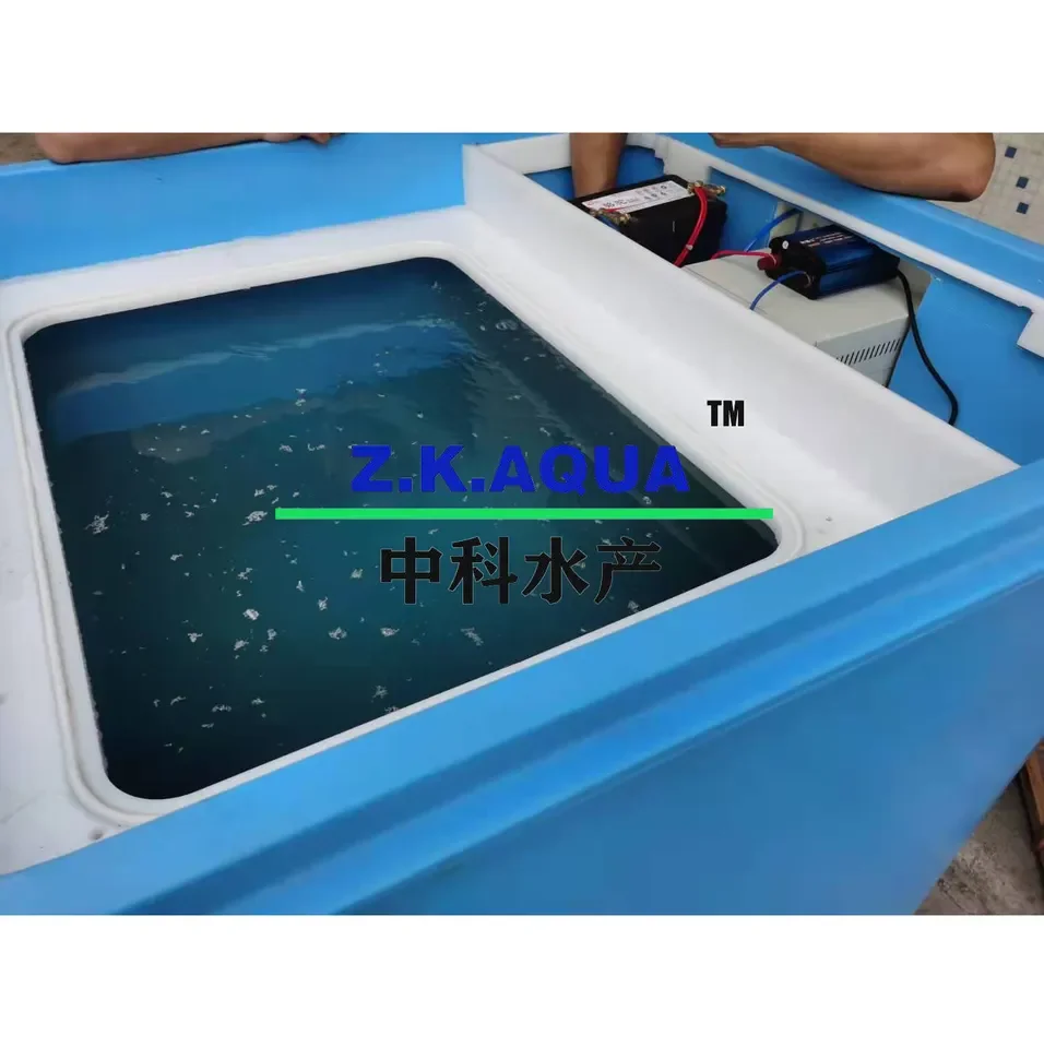 1000L Insulated Fish Storage Container Live Fish Bin with Oxygen for Transportation